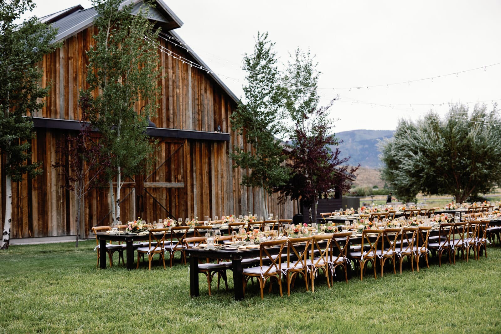First look on the ranch meadow, 4U Ranch